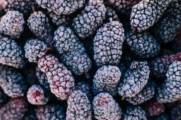 frozen mulberry, berry, berries © bella.elisichenko