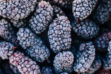 frozen mulberry, berry, berries