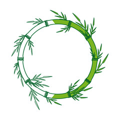 bamboo forest set. spa frame nature. plant tree with leaves. vector illustration