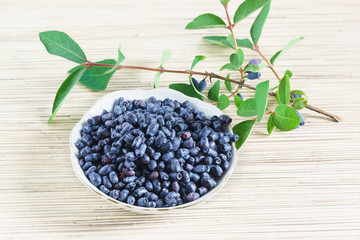 A Cup of edible blue honeysuckle and the far Eastern branch on the table