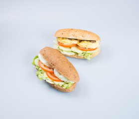 sandwich or tasty egg sandwich on background.