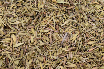 Dry leaves of Thymus. Suitable to be used like a background.