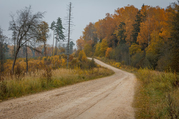 Fototapeta premium Country dirt road in autumn.