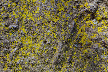 texture of stone wall for background