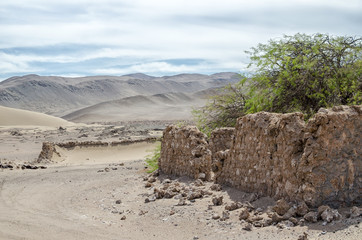 Green tree and ruins of well in the middle of desert