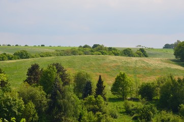 Naturlandschaft mit Pusteblumenwiesen im Frühling unter Himmelblau mit Wolken 