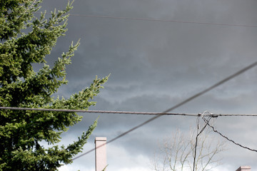 Storm clouds over trees and telephone lines