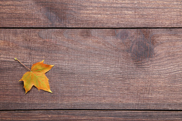 Autumn leaf on brown wooden table