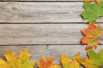 Naklejka na ściany i meble Autumn leafs on grey wooden table