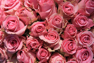 Pink roses in bridal bouquet