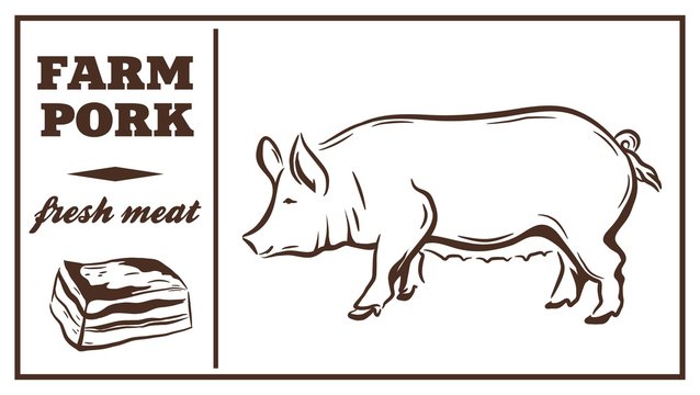 Label of meat products. Pork