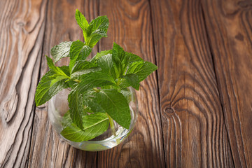 small sprig of mint on a wooden background