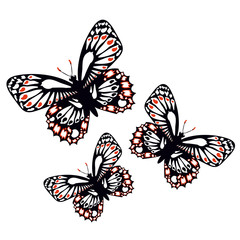Set of colorful butterflies