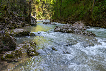 Mountain river