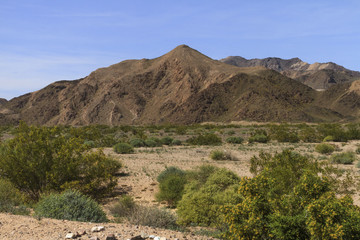 Mountain in the Mojave Desert