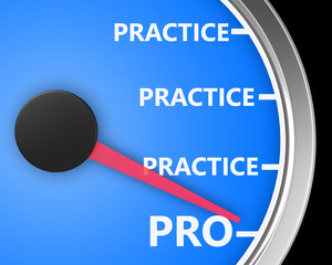 pro