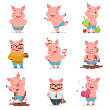 Little cartoon pigs characters posing in different situations set of vector illustrations