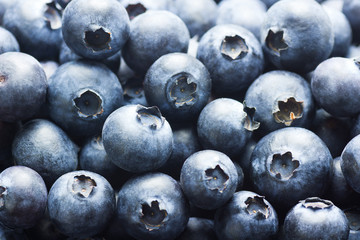 Blueberry Background