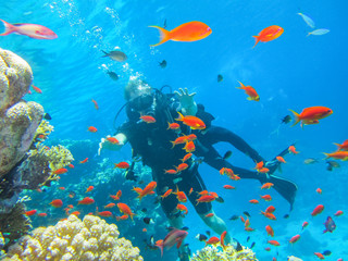 Fototapeta na wymiar Активный отдых в Египте. Погружение с аквалангом возле коралловых рифов