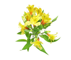 アルストロメリアの花束