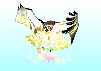 Balbuzard avec un gros poisson