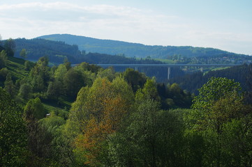 Landscape view of forest trees and motorway highest bridge in Slovakia