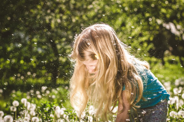 child in white dandelion flower meadow