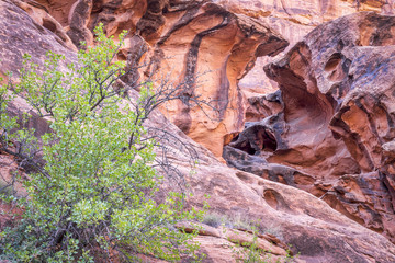 rock formation in  Hunter Canyon in Utah