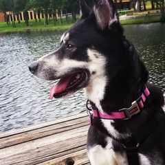 Sonya at the lake 2