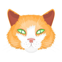 Cat face illustration