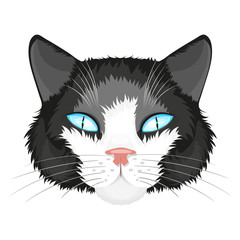 Cat face illustration