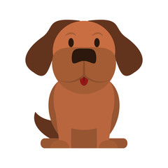 Obraz premium dog house pet icon image vector illustration design 