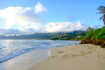 Tropical Paradise Beach Oahu Hawaii