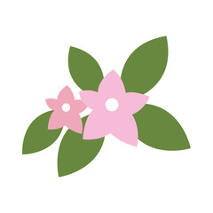 cute simple flower icon image vector illustration design 