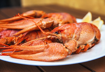 Crawfish