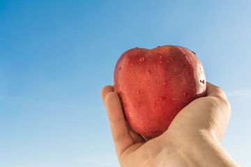 Elongated hand of a man holding a red apple against a blue sky