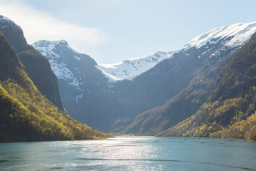 Obraz premium Sognefjord in Norway