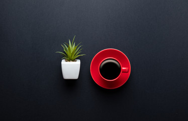 cup of coffee and plant