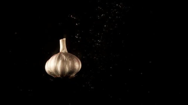 Blue garlic falls in aquarium which stands on black background