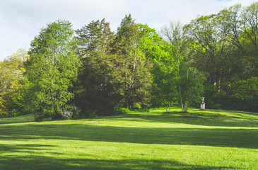 Fototapeta na wymiar Green field with tress, nature concept
