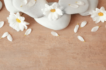 Spa stones and chrysanthemum on textured background