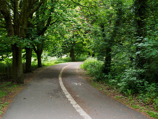 Spring countryside road,Northern Ireland