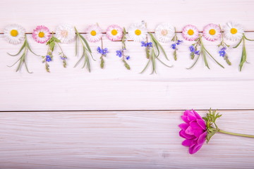Small field flowers on vintage weathered wooden background. Retro styled floral background.