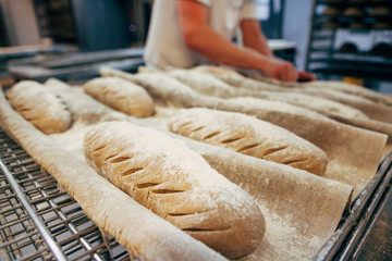 bread bakery