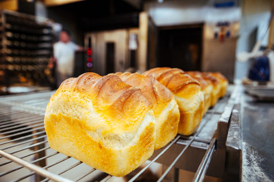 loaf bread bakery