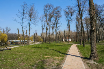 Pedestrian bridge in the park 