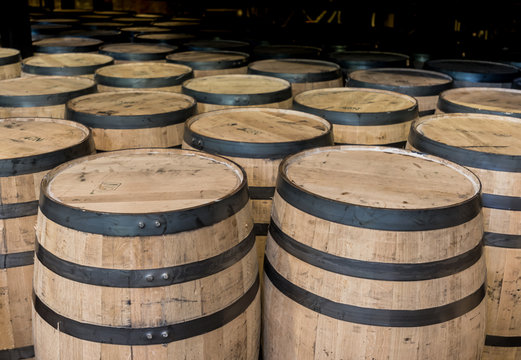 Group of Standing Bourbon Barrels