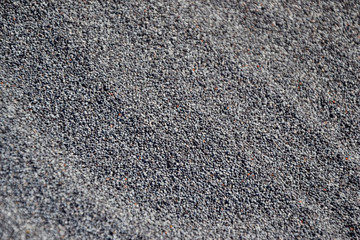 Close up of a pile of fresh harvested poppy seeds spread in bowl, ready for drying, macro photo. Ingredient for baking