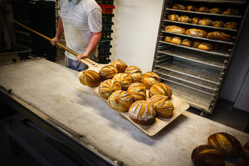 bread bakery