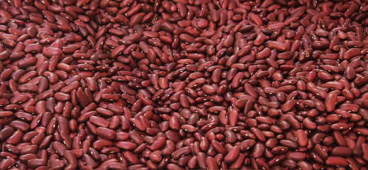 red bean background